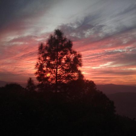 Mehra Cottage Almora Rum bild