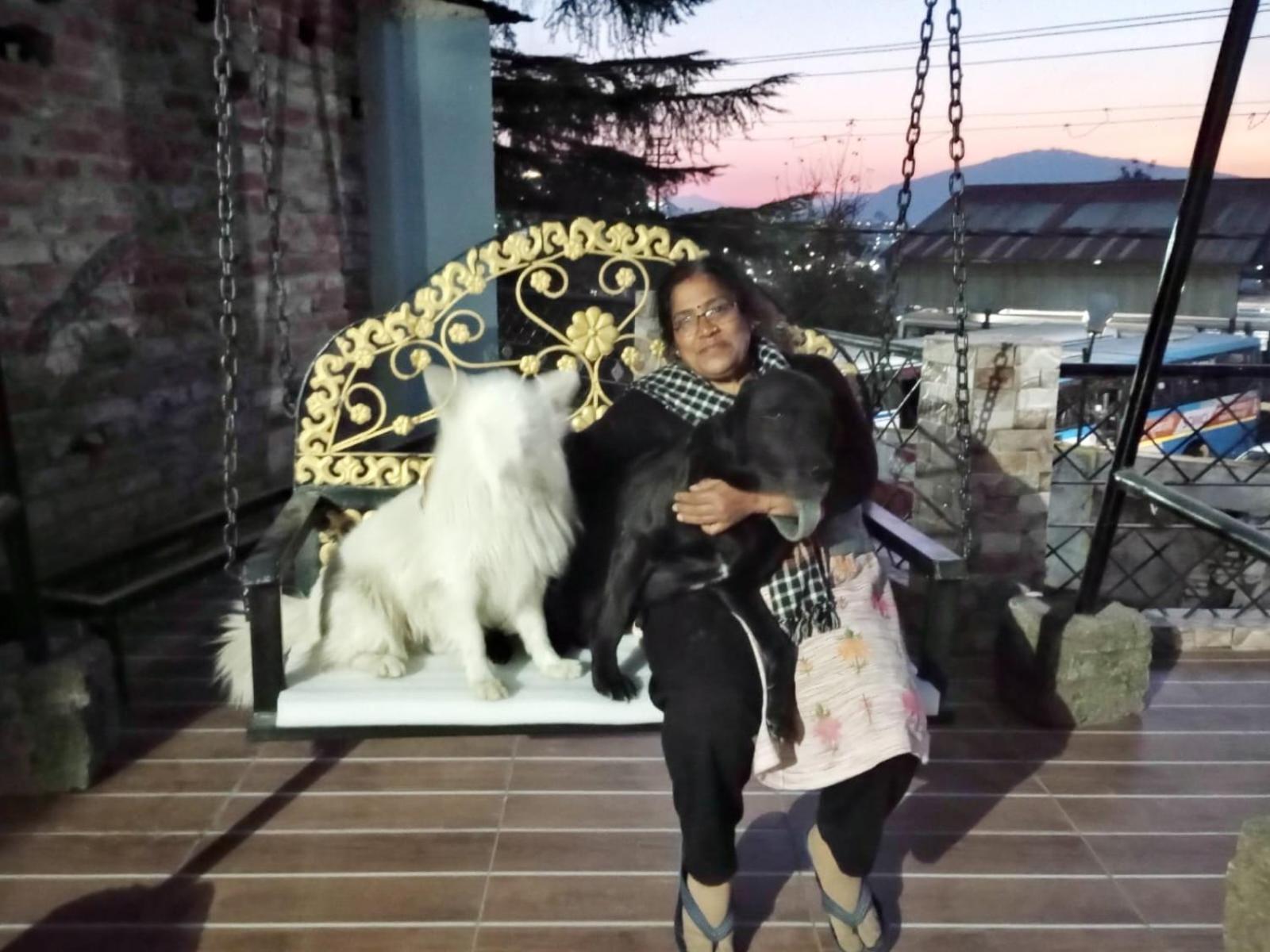 Mehra Cottage Almora Rum bild